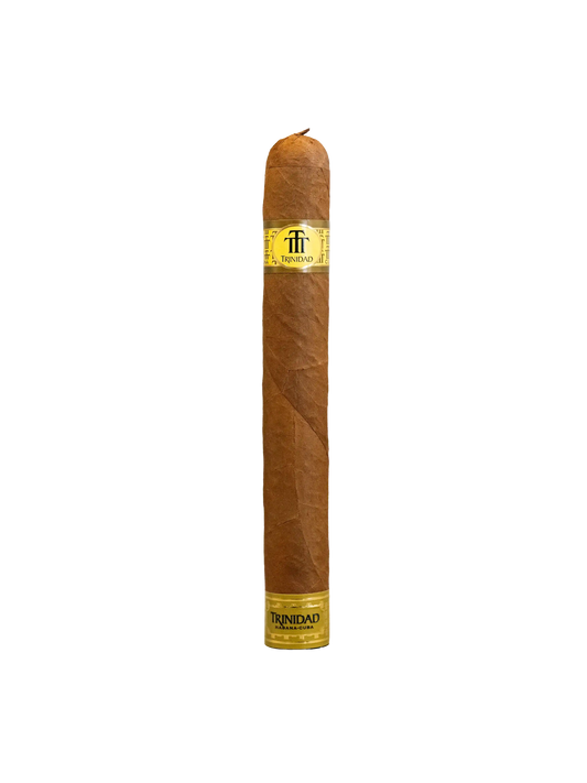 Trinidad Robusto Extra Travel Humidor cigar