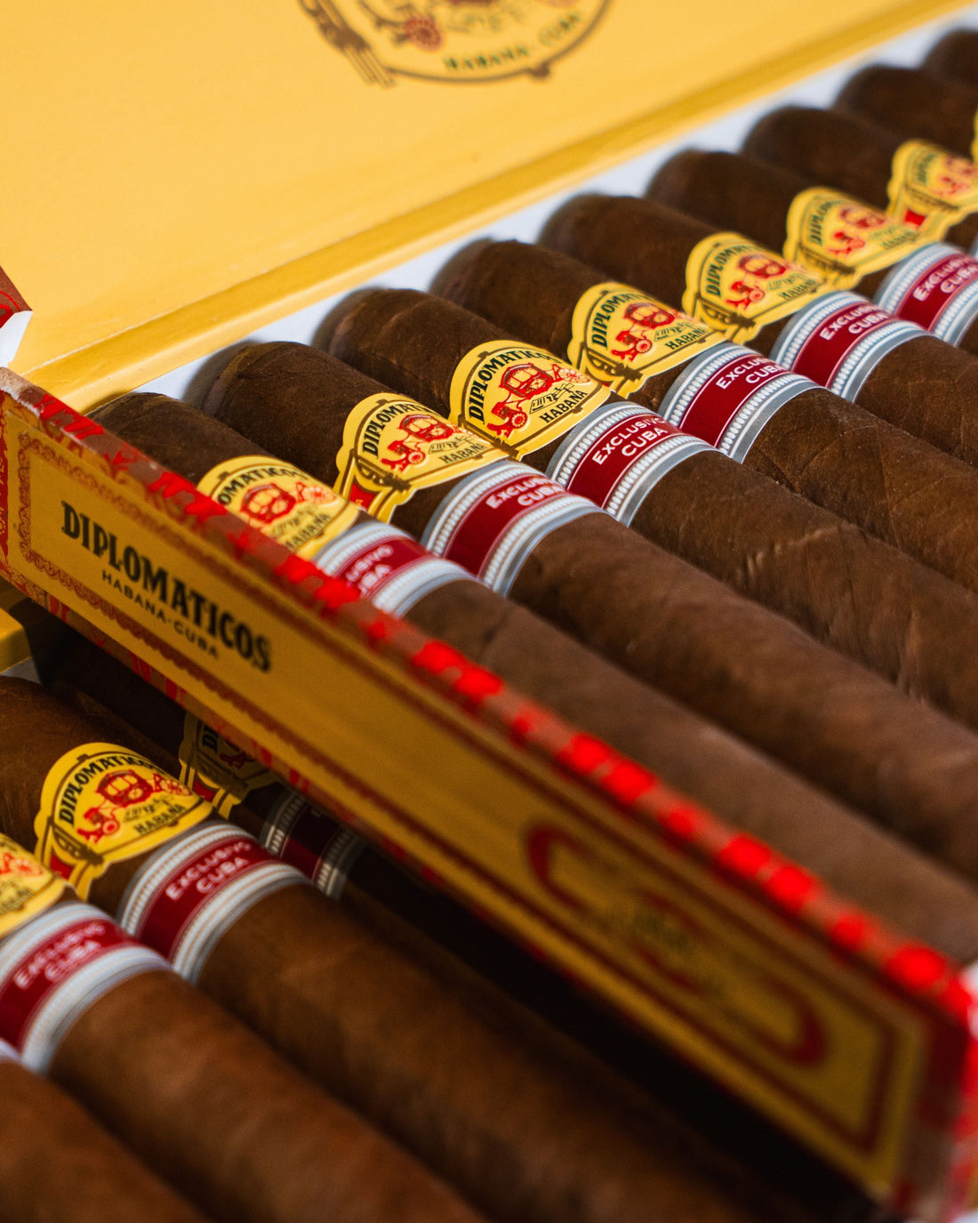 What Are Cuban Regional Edition Cigars? A Collector's Guide
